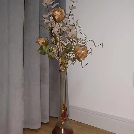 Balcescu * 蒂米什瓦拉