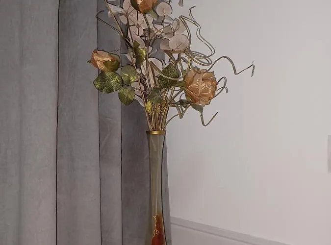 Balcescu * Timişoara