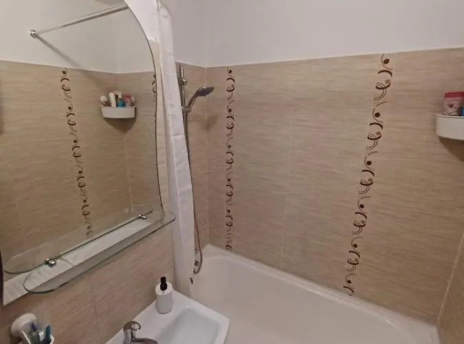 Balcescu Lägenhet Timişoara